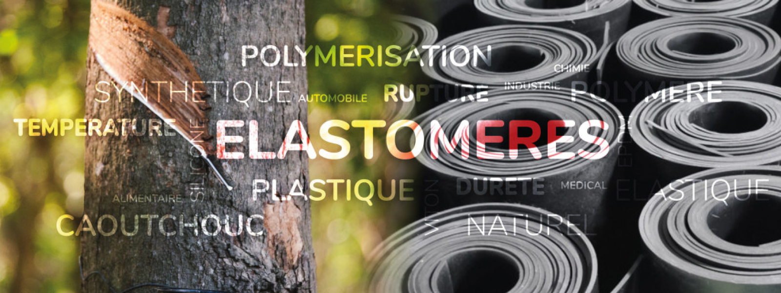 What is an elastomer ?